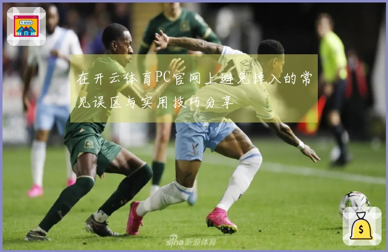 在开云体育PC官网上避免掉入的常见误区与实用技巧分享