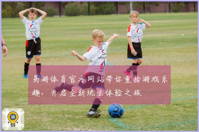易游体育官方网站带你重拾游戏乐趣，开启全新玩法体验之旅